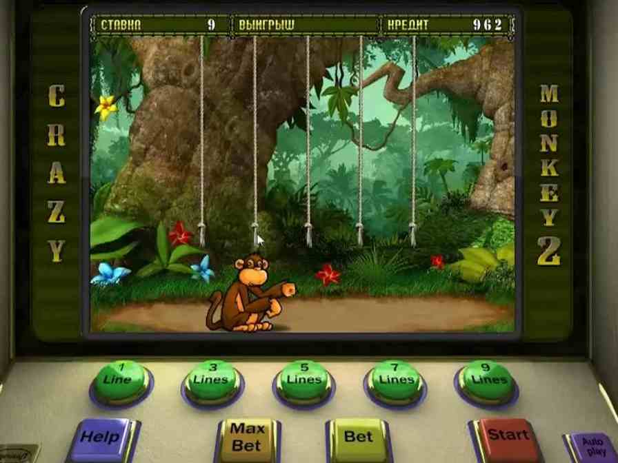 Бонусная игра в слоте Crazy Monkey 2
